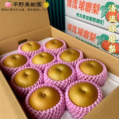 【発送月固定定期便】6月 特製桃源郷錦 約1kg/ 8月 清流錦梨 約5kg全2回