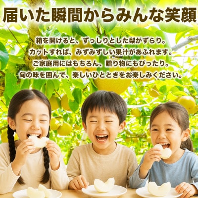 秋月梨 4～12玉 約3kg