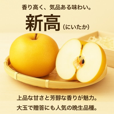 新高梨 12～32玉 約10kg