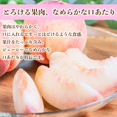 もも(10～22玉)約4kg(錦町)