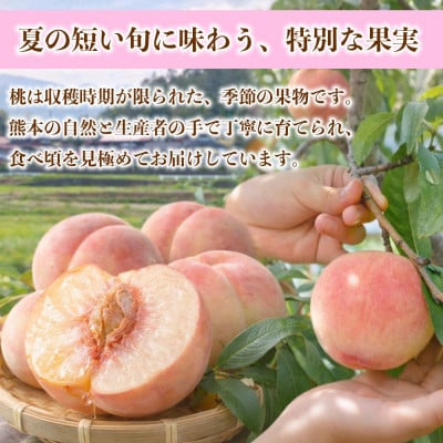 もも(10～22玉)約4kg(錦町)