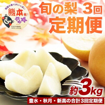 【発送月固定定期便】梨の定期便 約3kg 豊水・秋月・新高全3回