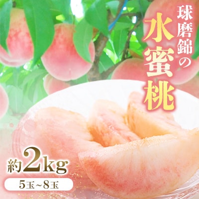 【先行予約】 2025年発送 熊本県 錦町 錦の水蜜桃 約2kg 5玉～8玉 【古里農園】