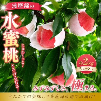 【先行受付】2026年発送 熊本県 錦町 錦の水蜜桃 約2kg 5玉～8玉 【古里農園】