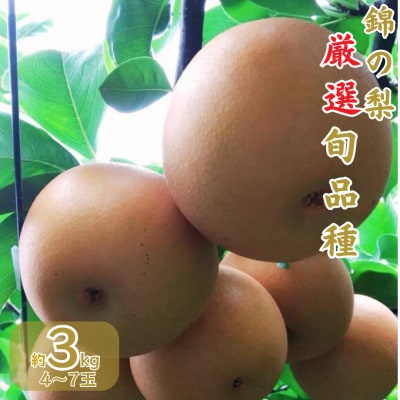 【先行予約】錦の梨 約3kg 4玉～7玉(幸水・豊水・あきづき・新興)熊本県錦町【古里農園】