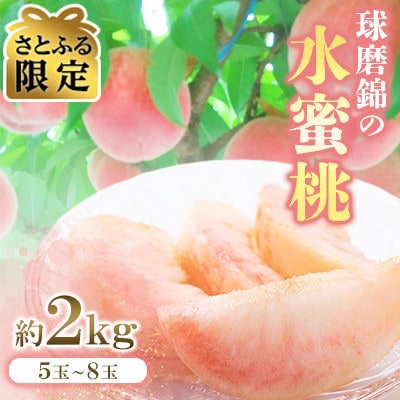 【先行予約】【数量限定】【さとふる限定】錦の水蜜桃 約2kg 5玉～8玉【古里農園】