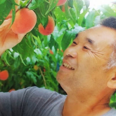 【先行予約】【数量限定】【さとふる限定】錦の水蜜桃 約2kg 5玉～8玉【古里農園】