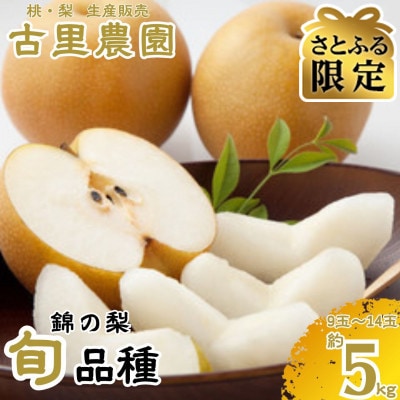 【先行予約】【数量限定】【さとふる限定】梨 約5kg 錦の梨 9玉～14玉【古里農園】