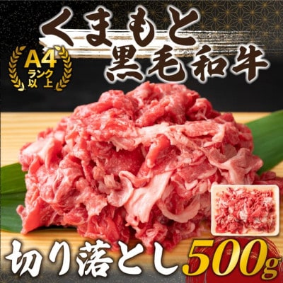 【A4～A5】くまもと黒毛和牛切り落とし　500g(錦町)