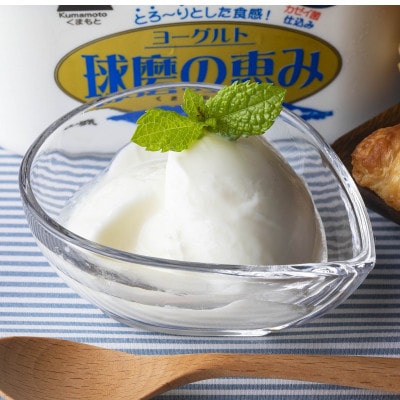 球磨の恵みヨーグルト(1kg入り×4パック)(錦町)
