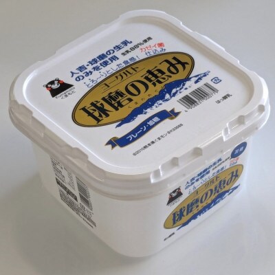球磨の恵みヨーグルト(加糖) 2kg