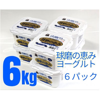 球磨の恵みヨーグルト(加糖) 6kg