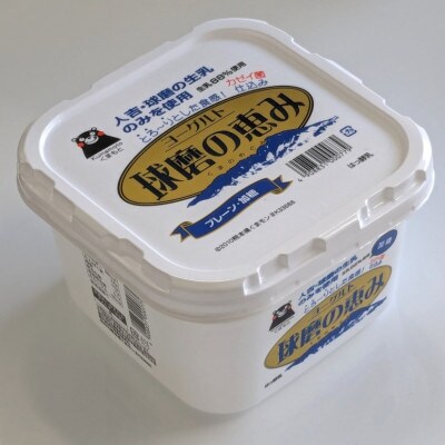 球磨の恵みヨーグルト(加糖) 6kg