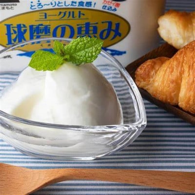 球磨の恵みヨーグルト(無糖) 2kg