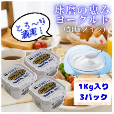 球磨の恵みヨーグルト(加糖)　3kgセット、ほんのり甘いタイプ(錦町)