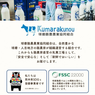 もっちり濃厚!球磨の恵みヨーグルト(砂糖不使用タイプ)3kgセット(錦町)