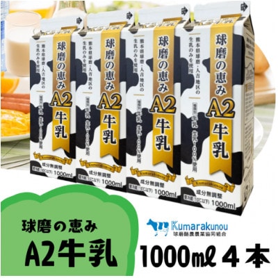 球磨人吉産　球磨の恵みA2牛乳　1000ml×4本パック(錦町)