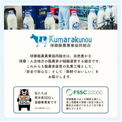 球磨人吉産　球磨の恵みA2牛乳　1000ml×4本パック(錦町)