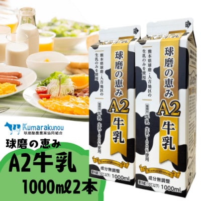 人吉球磨産　球磨の恵みA2牛乳　1000ml×2本パック(錦町)