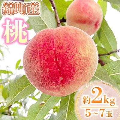 錦町産 桃2kg 5～7玉