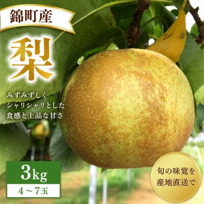 錦町産 梨3kg 4～7玉