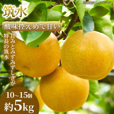 【酸味控えめで甘い】果汁あふれる熊本県産 筑水 10~15個(約5kg)1箱