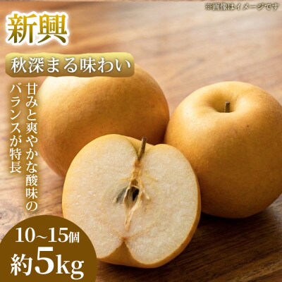 【秋深まる味わい】熊本県産 新興 10~15個(約5kg)1箱
