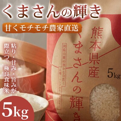 【極良食味】熊本県産くまさんの輝き 5kg 1袋|15年育成の甘み際立つブランド米