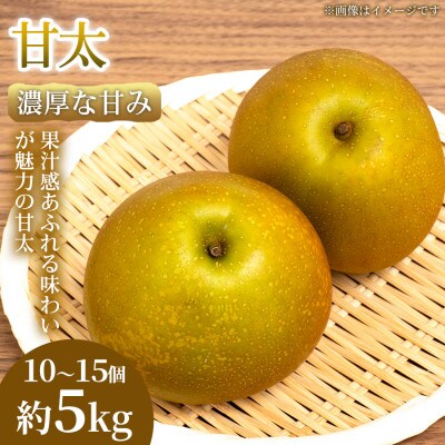 【濃厚な甘み】やわらか果肉の甘太 10~15個(約5kg)1箱