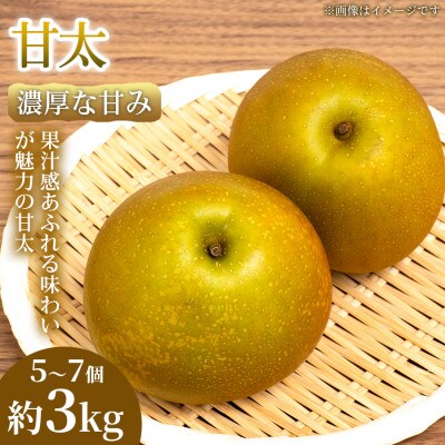 【濃厚な甘み】やわらか果肉の甘太 5~7個(約3kg)1箱