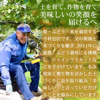【濃厚な甘み】やわらか果肉の甘太 5~7個(約3kg)1箱