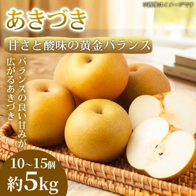 【甘さと酸味の黄金バランス】熊本県産 あきづき 10~15個(約5kg)1箱