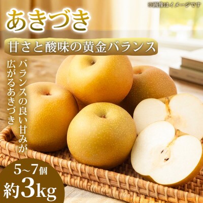 【甘さと酸味の黄金バランス】熊本県産 あきづき 5~7個(約3kg)1箱