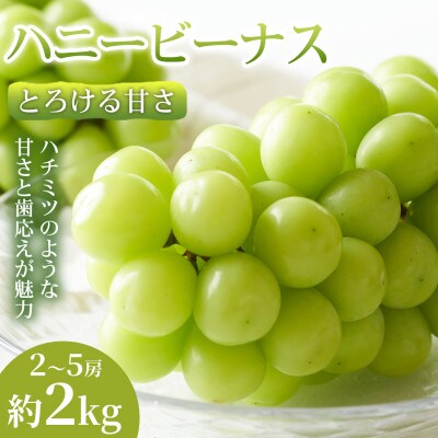 【とろける甘さ】熊本県産ハニービーナス 2~5房(約2kg)  1箱
