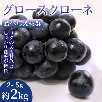 【圧巻の大粒】食べ応え抜群グロースクローネ 2~5房(約2kg)  1箱