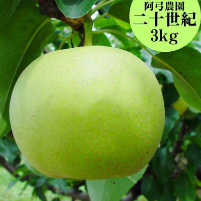 ■阿弓農園■二十世紀3kg(9K.)