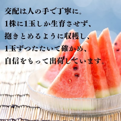 とまり美人西瓜 4L(17K.)