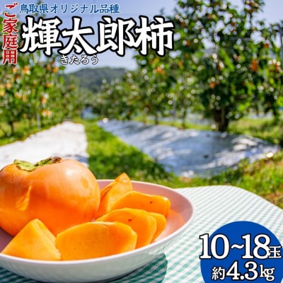 輝太郎柿10～18玉〔ご家庭用〕(25K.)