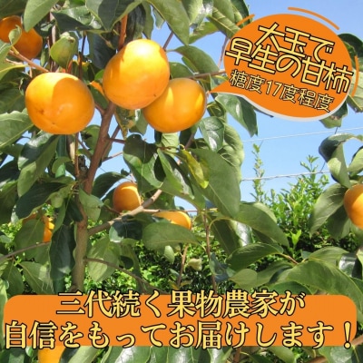 輝太郎柿10～18玉〔ご家庭用〕(25K.)
