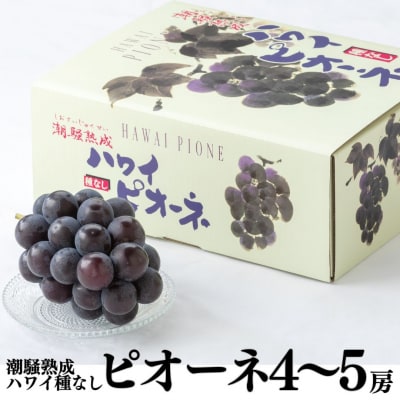 潮騒熟成ハワイ種なしピオーネ4～5房(27K.)