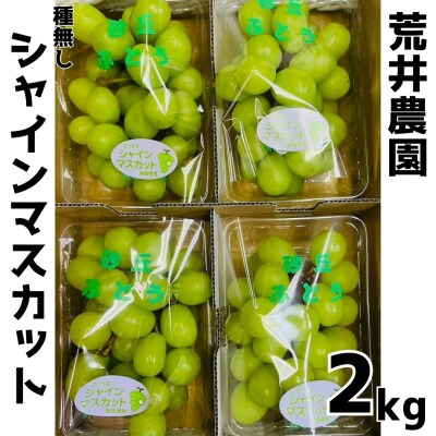■荒井農園■種無しシャインマスカット2kg(31K.)