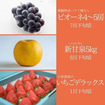 ゆりはまフルーツ定期A(37K.)