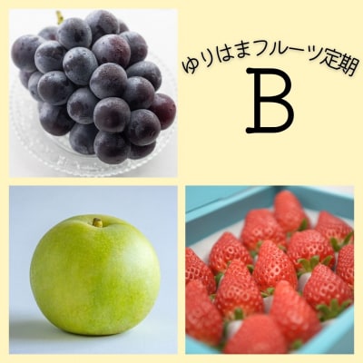 ゆりはまフルーツ定期B(38K.)