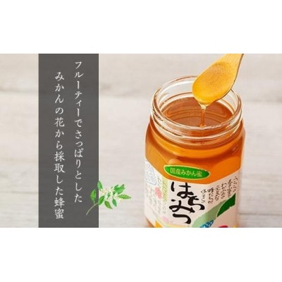 お手軽蜂蜜セット