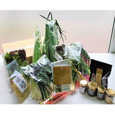 アンチョビ・バーニャカウダ&松山市産野菜セット