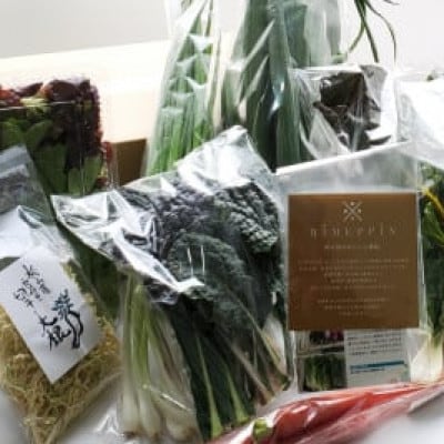 松山市産乾燥きくらげ&旬野菜セット