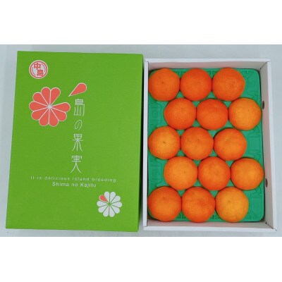 松山市中島産 甘平 L～3Lサイズ