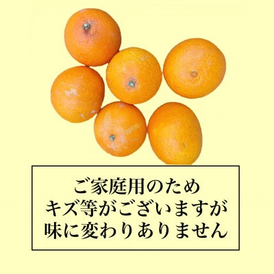紅まどんな　M～4Lサイズ　5kg 【ご家庭用】