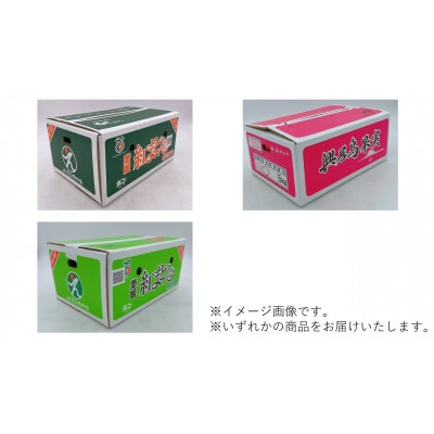 紅まどんな　M～4Lサイズ　5kg 【ご家庭用】