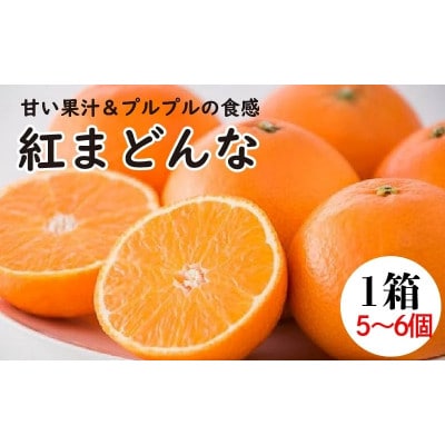 紅まどんな　5～6個